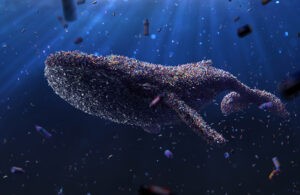 plastic whale