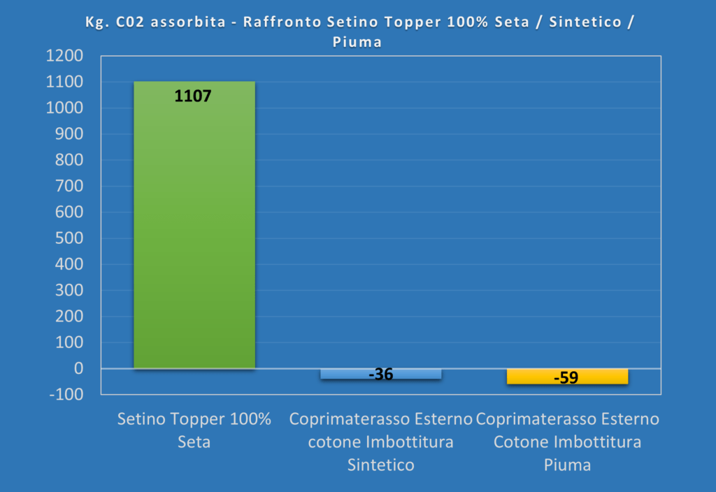 Seta e CO2